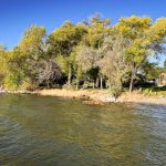 A clear lake shore near Rupert, ID, with gentle waves is bordered by rocks and grassy land lined with green trees. In the background, a wooden gazebo is partially visible among the trees under a blue sky.