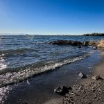 A sunny lakeshore scene near Rupert, ID, with gentle waves lapping against a rocky, sandy beach. The water sparkles in the sunlight, and trees line the shore beneath a clear blue sky.