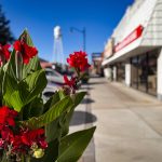 Red flowers in the foreground brighten the sidewalk of Rupert, ID, with storefronts and a white water tower rising in the background beneath a clear blue sky.